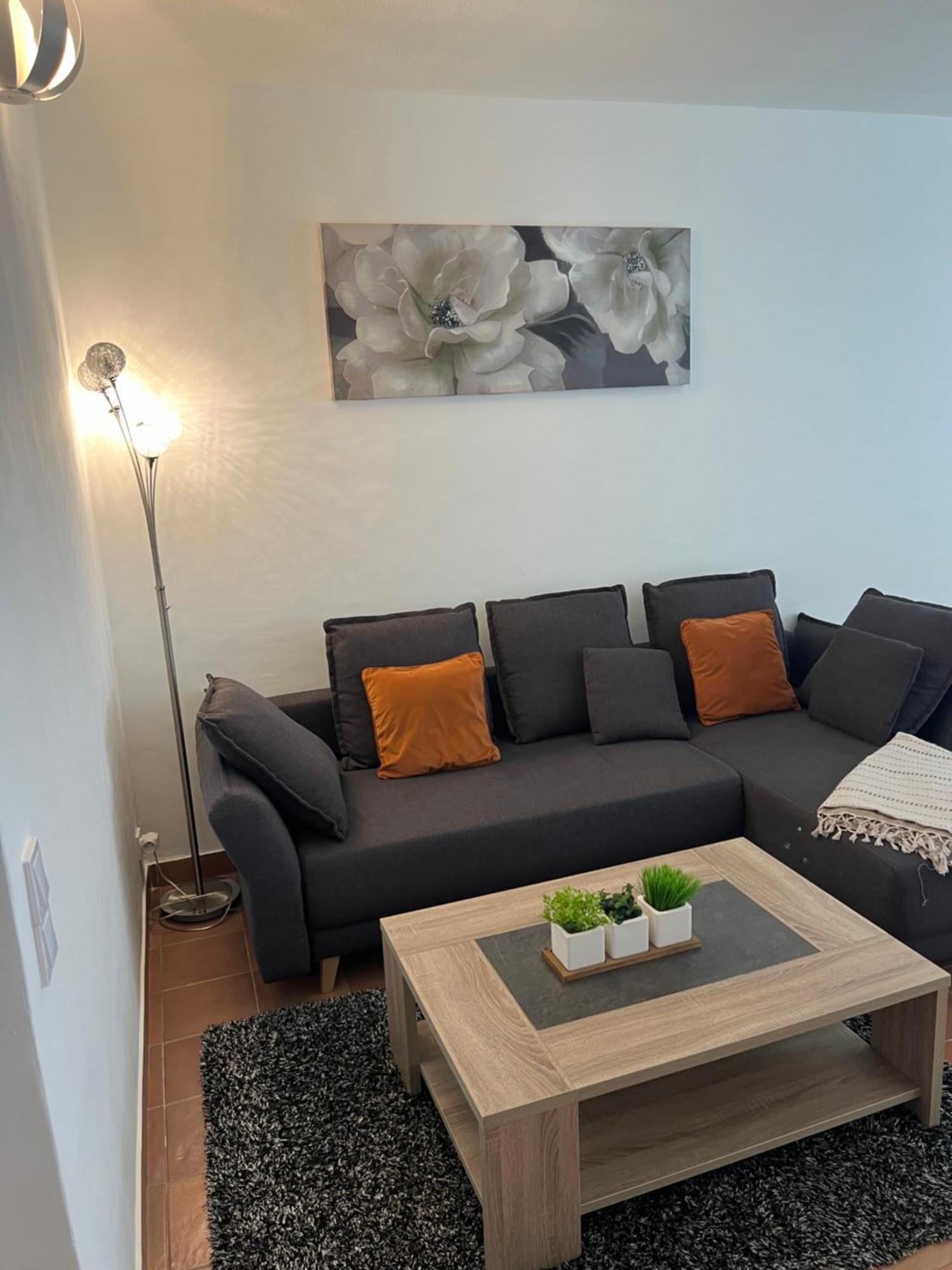 Magnifique Appartement Proche Des Plages Plus Garage Prive Antibes Ngoại thất bức ảnh